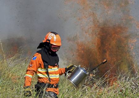Ação integrada e treinamento contribuem para prevenção de incêndios florestais em MS